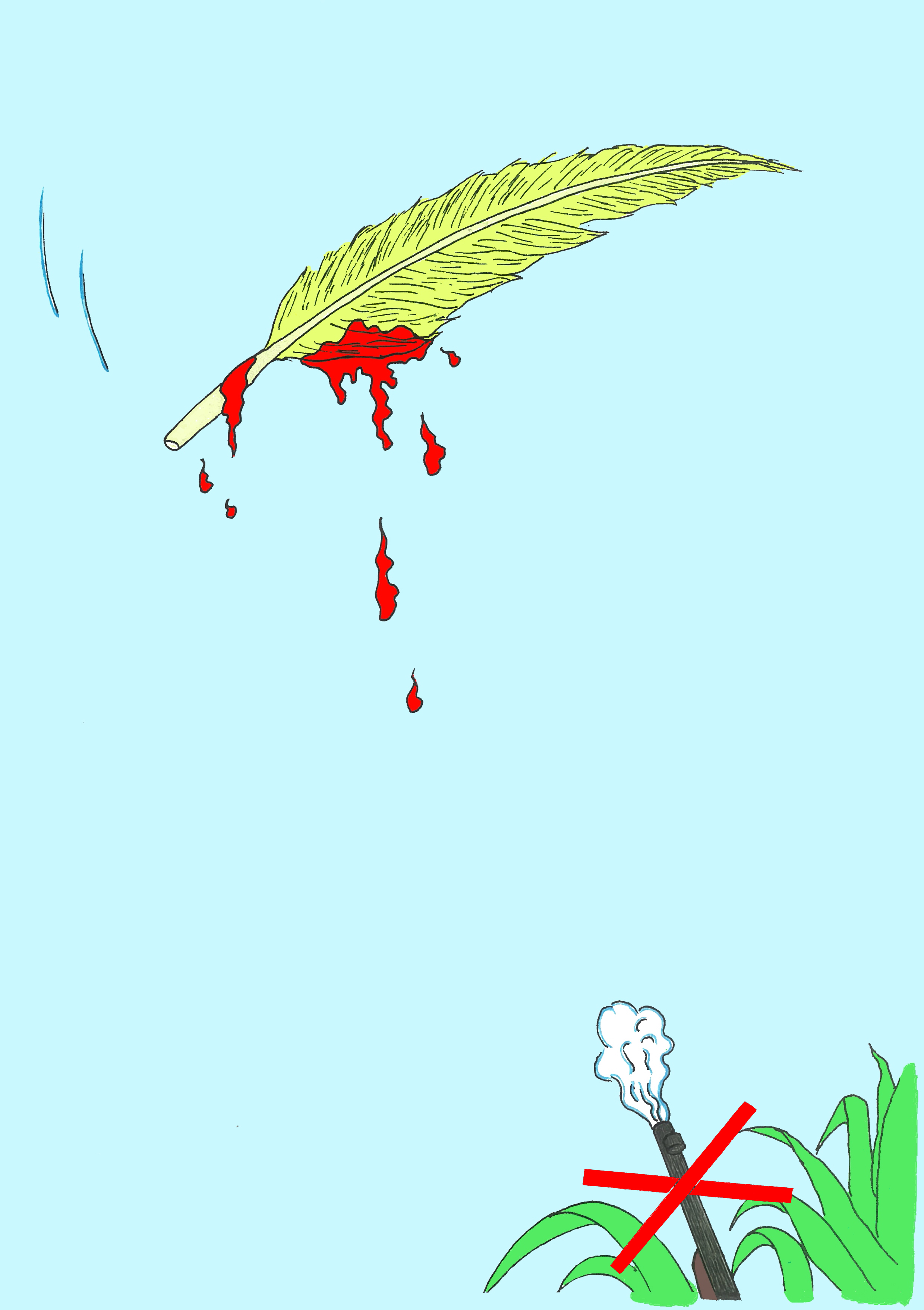 不許獵殺飛禽！
